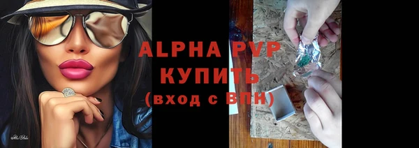 прущие грибы Козловка