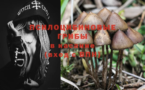 эйфоретик Козельск