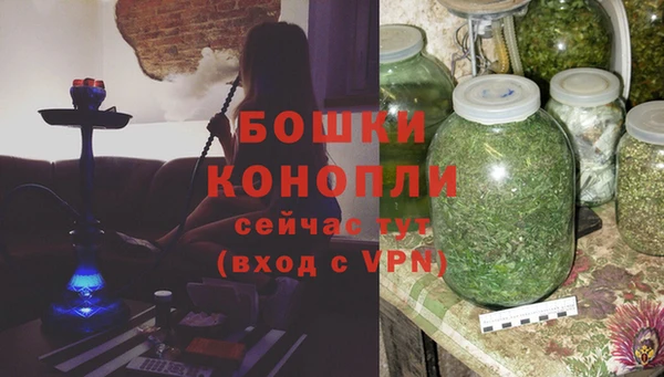 прущие грибы Козловка